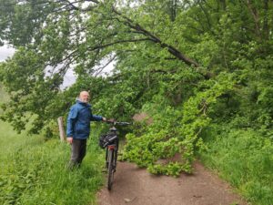 Ein umgestürzter Baum